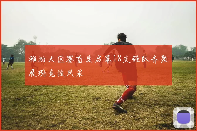潍坊大区赛首度启幕18支强队齐聚展现竞技风采