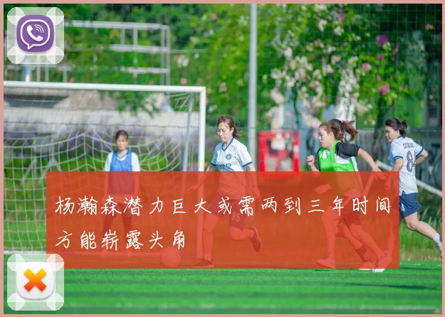 杨瀚森潜力巨大或需两到三年时间方能崭露头角
